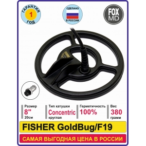 K8 Fisher F19/GoldBug
